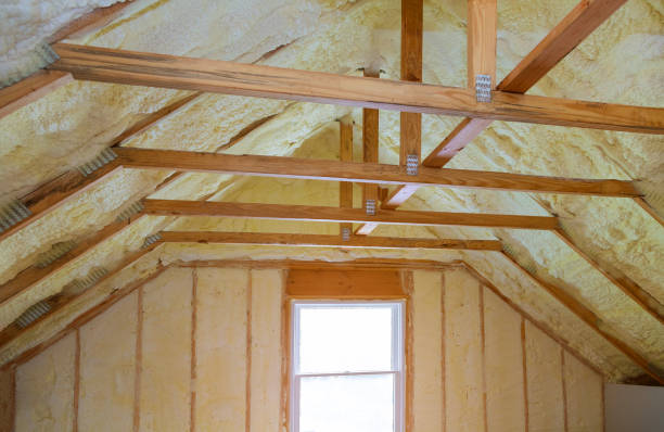 Best Insulation Maintenance and Repair in Sunray, TX