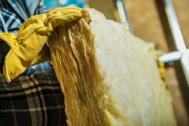 Best Residential Insulation in Sunray, TX